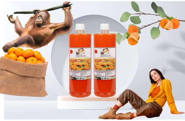 Air Freshner (1 Litre) (Pack of 2) Orange