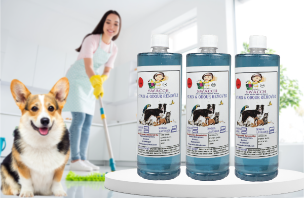 Stain & Odour Remover (3 Litre) Lavender