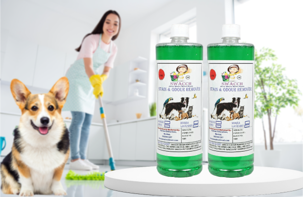 Stain & Odour Remover (2 Litre) Jasmine