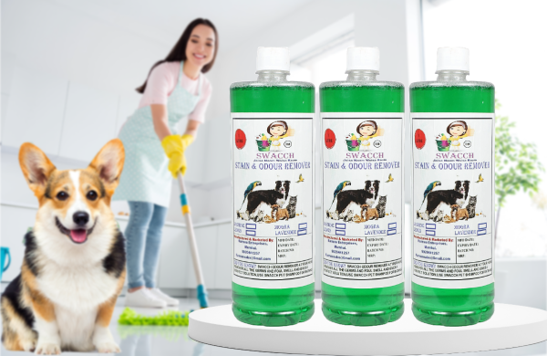 Stain & Odour Remover (3 Litre) Jasmine