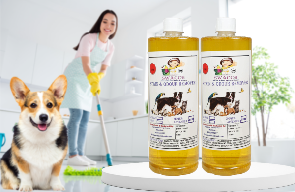 Stain & Odour Remover (2 Litre) Lemon
