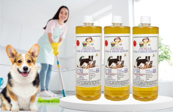 Stain & Odour Remover (3 Litre) Lemon