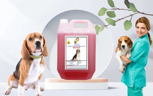 Beagle Dog Shampoo (5 Litre) Jasmine