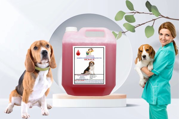 Beagle Dog Shampoo (10 Litre) Jasmine