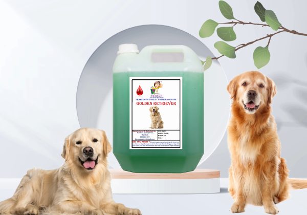 Golden Retriever Dog Shampoo (10 Litre) Neem Alovera