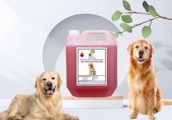 Golden Retriever Dog Shampoo (10 Litre) Jasmine