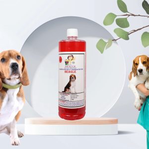 Beagle Dog Shampoo