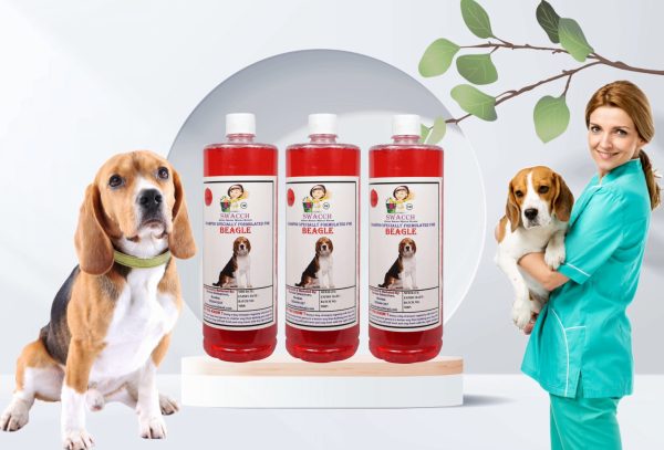 Beagle Dog Shampoo (1 Litre) (Pack of 3) Strawberry