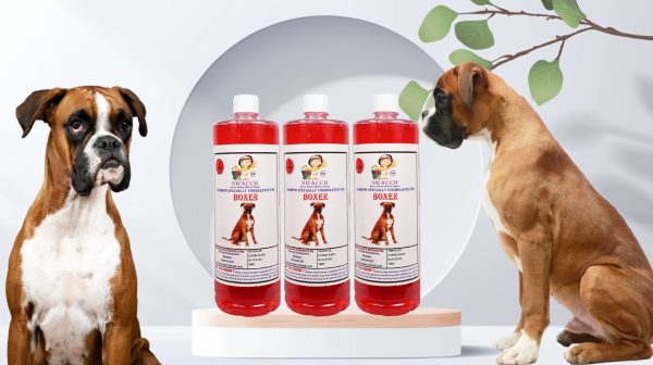 Boxer Dog Shampoo (1 Litre) (Pack of 3) Jasmine
