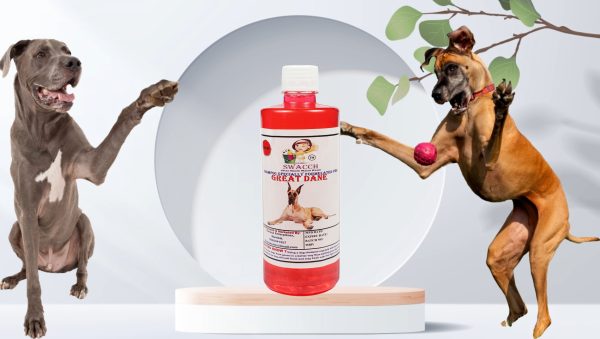 Great Dane Dog Shampoo (500ml) Jasmine