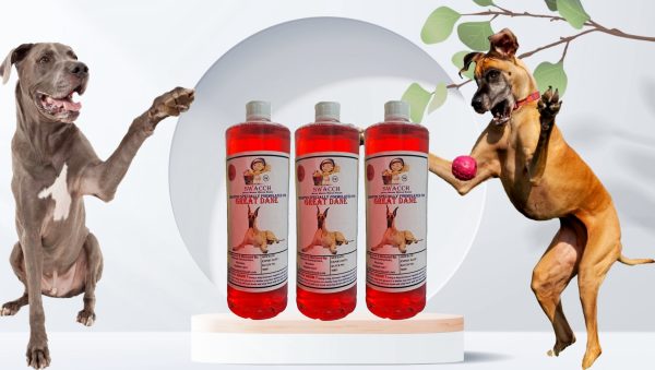 Great Dane Dog Shampoo (1 Litre) (Pack of 3) Jasmine