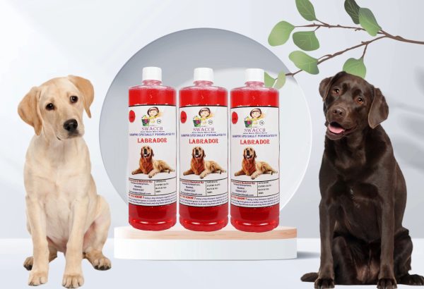 Labrador Dog Shampoo (1 Litre) (Pack of 3) Jasmine