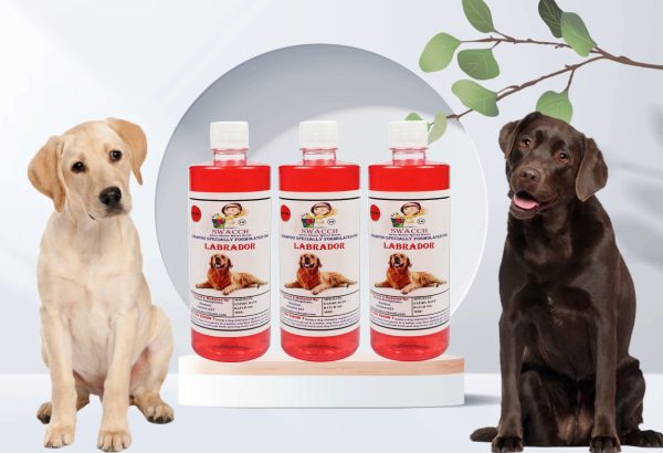 Labrador Dog Shampoo (500ml) (Pack of 3) Jasmine