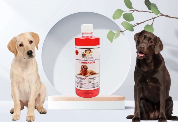 Labrador Dog Shampoo (500ml) Strawberry