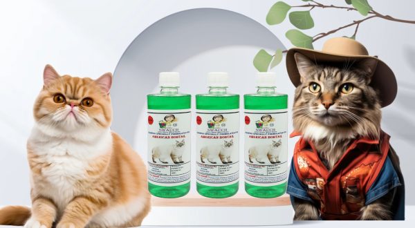 American Bobtail Cat Shampoo (500ml) (Pack of 3) Neem Alovera
