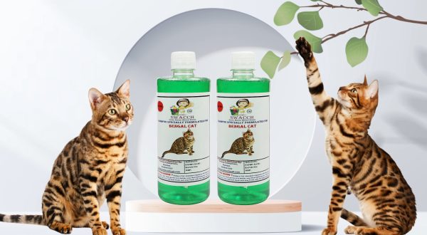 Bengal Cat Shampoo (500ml) (Pack of 2) Neem Alovera