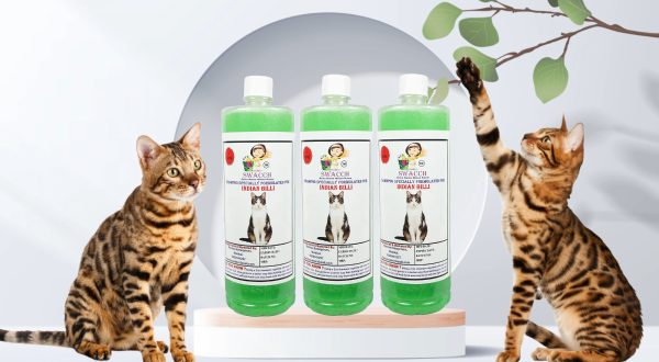 Indian Billi Shampoo (1 Litre) (Pack of 3) Neem Alovera