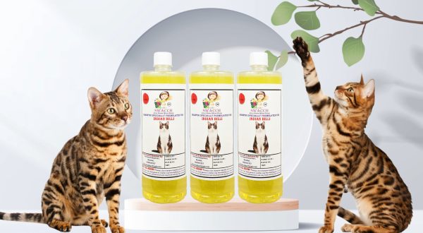 Indian Billi Shampoo (1 Litre) (Pack of 3) Lemon