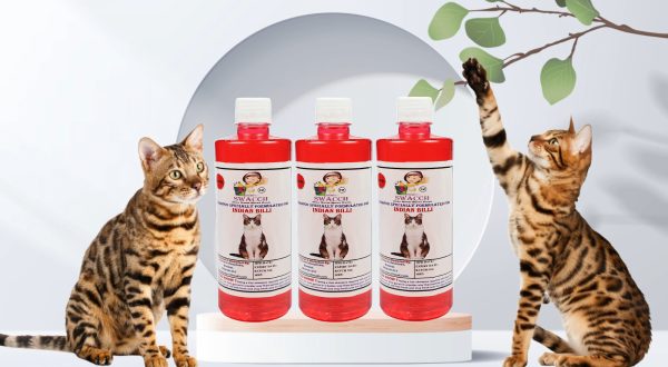 Indian Billi Shampoo (500ml) (Pack of 3)  Jasmine