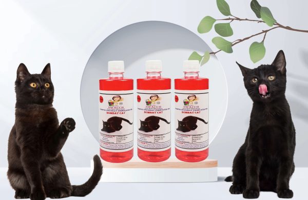 Bombay Cat Shampoo (500m) (Pack of 3) Jasmine