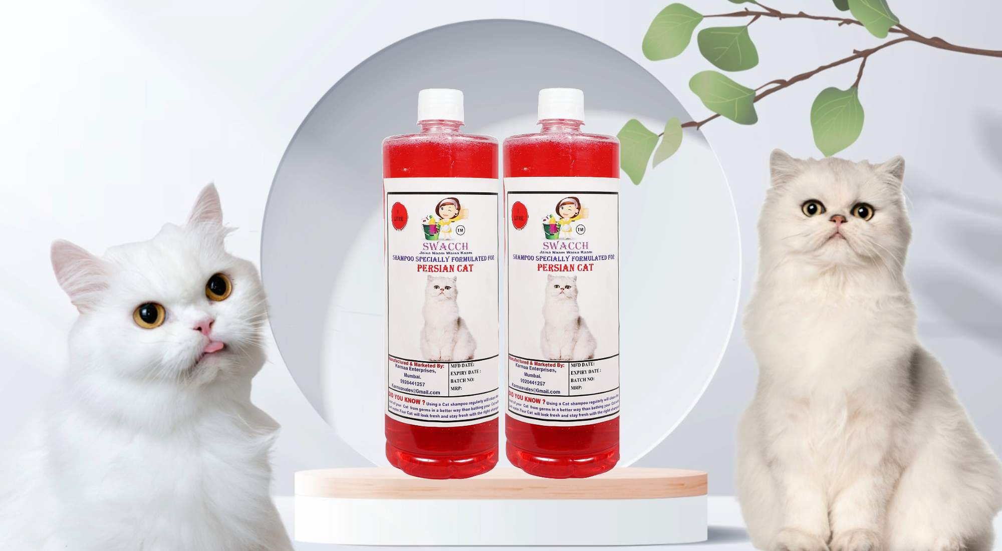 Shampoo orders for persian kittens