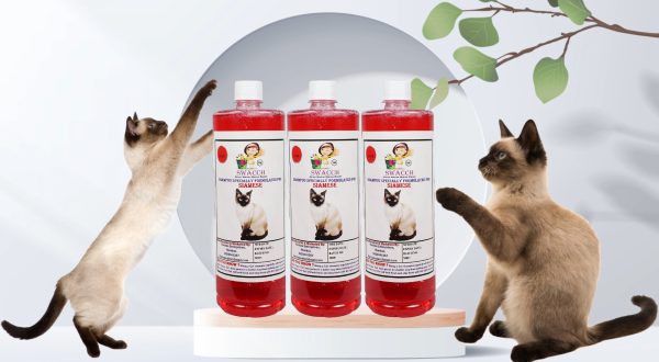 Siamese Cat Shampoo (1 Litre) (Pack of 3) Strawberry