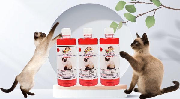 Siamese Cat Shampoo (500ml) (Pack of 3) Strawberry